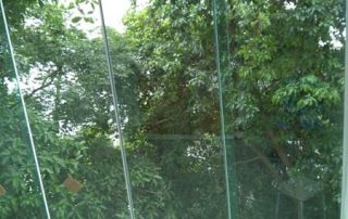 Janelas de Vidro em São Vicente